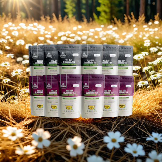 All Day Slimming Tea -6 Month Supply - 50% OFF