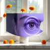 Vizu Kaps