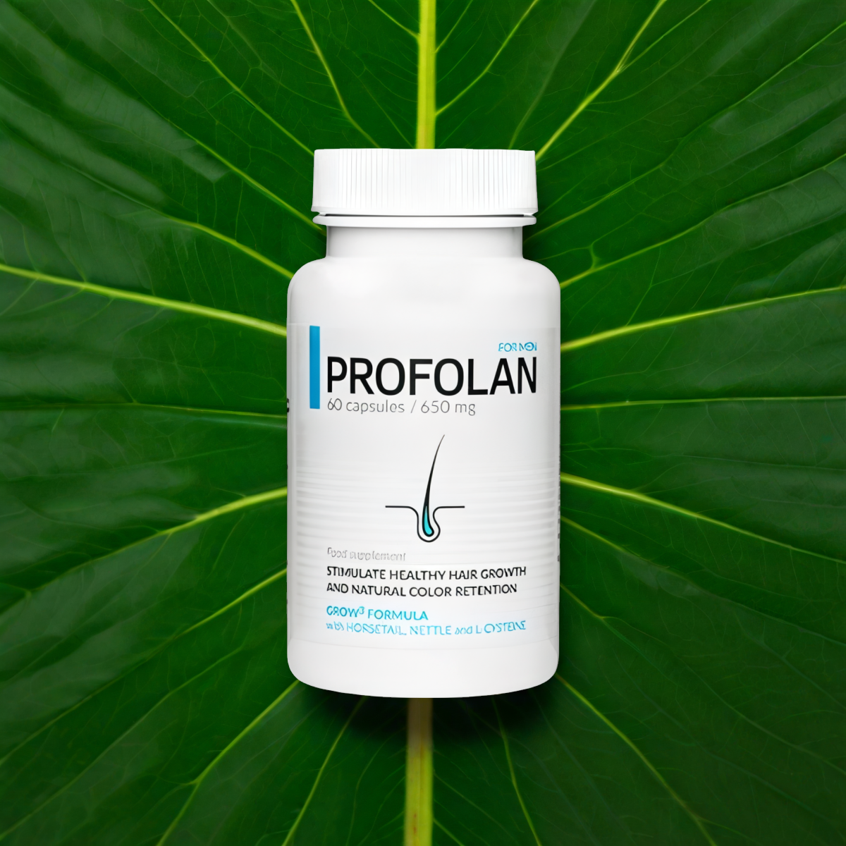 Profolan